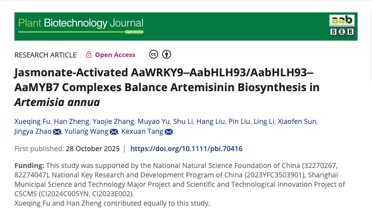 上海交大唐克轩-王玉亮团队揭示青蒿素合成时空调控与黄酮协同增效的双重机制