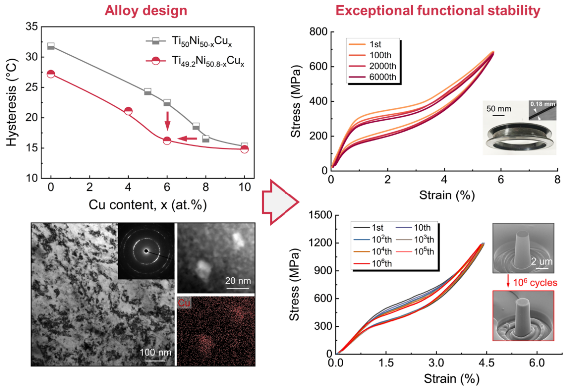 金属材料强度全国重点实验室在高性能超弹合金设计方面取得新进展