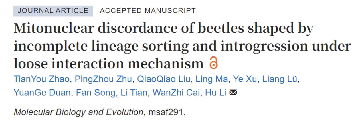 中国农业大学植保学院彩万志、李虎教授团队揭示了甲虫核基因与线粒体基因不一致现象的演化过程
