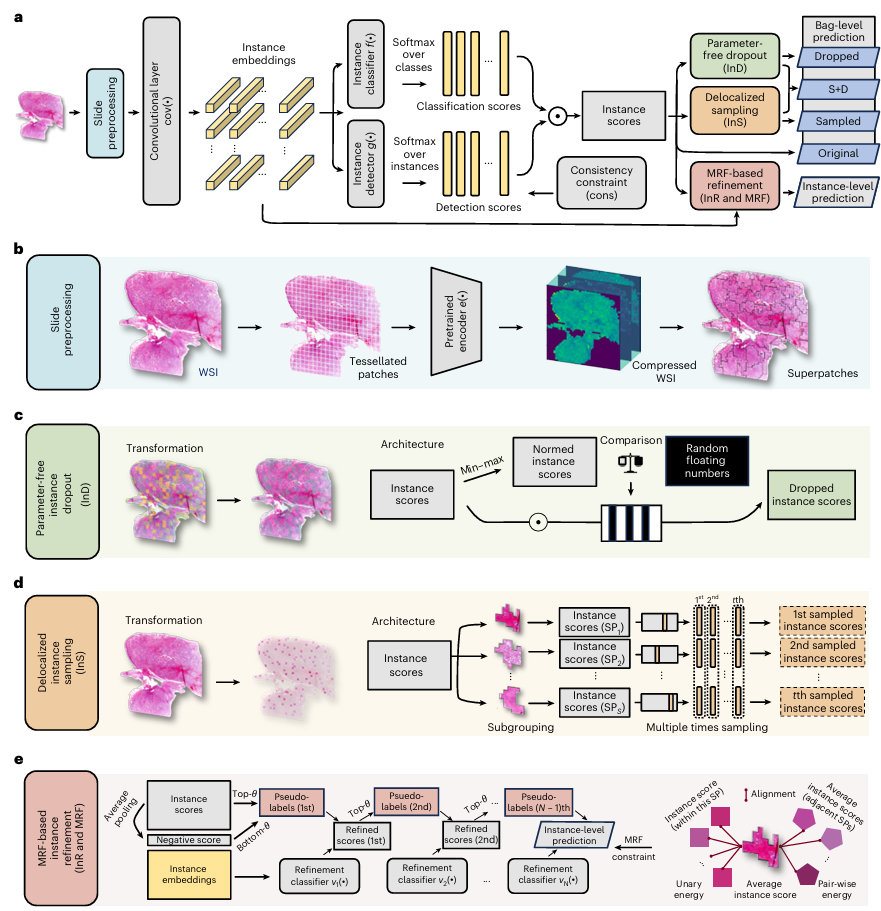 西安交大与剑桥大学联合发明全球首个 可实现大规模肿瘤筛查及细粒度量化诊断的人工智能病理模型