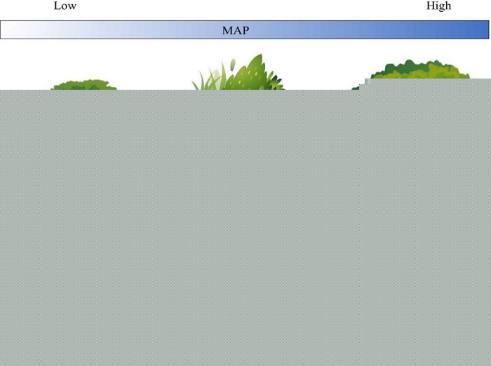 林业所在温带灌丛土壤微生物群落生活史策略研究方面取得新进展