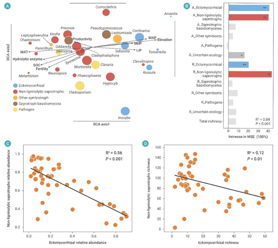 西安交大科研人员在高寒生态系统碳动态研究中取得重要进展