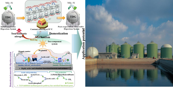 西北农林科技大学(754)我校生物质能源与材料交叉研究中心在生物质能源领域取得重要研究进展