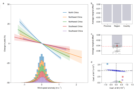 北京师范大学国家安全与应急管理学院副教授徐佳路团队在Nature Communications发文揭示风速对玉米生产的重要作用