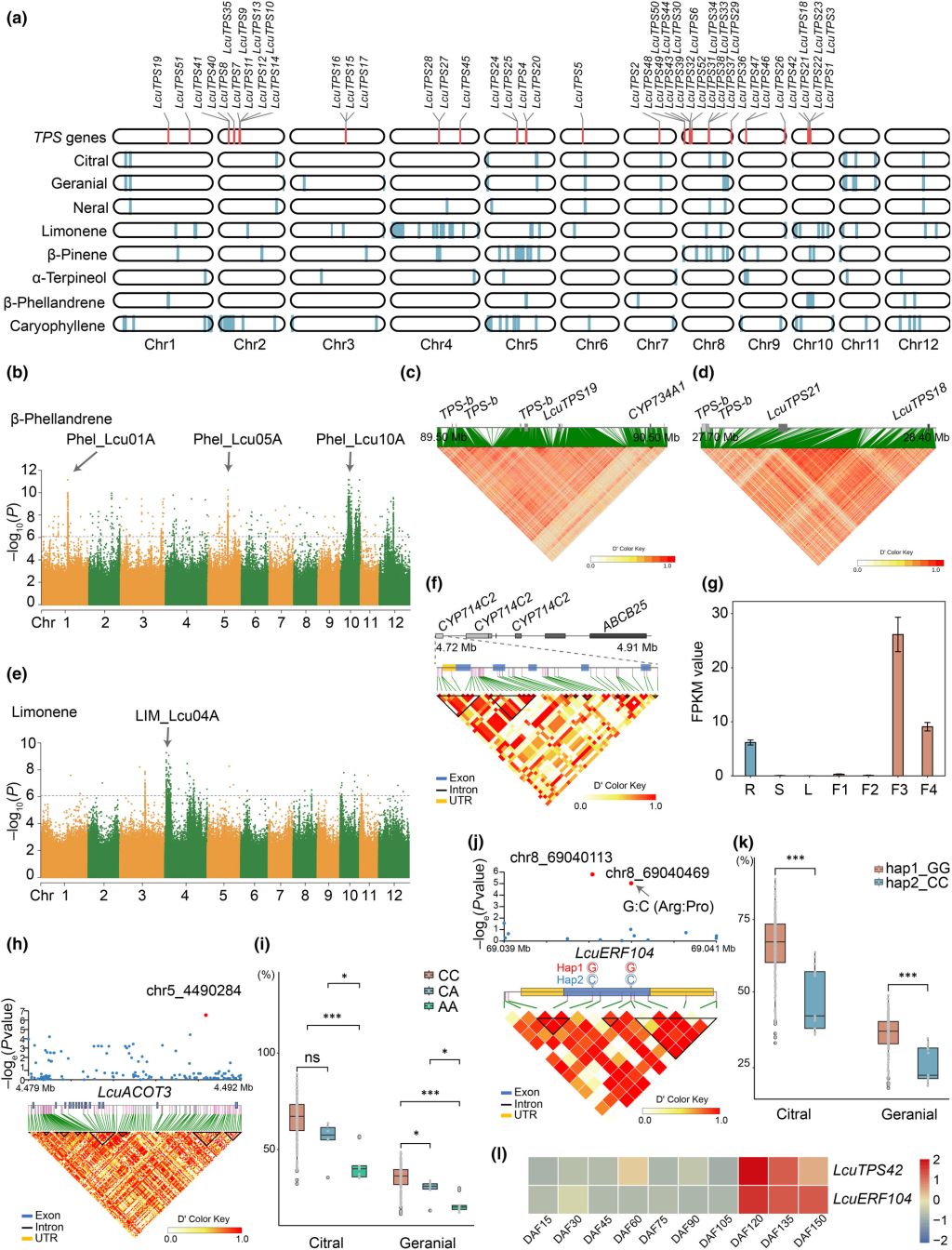 亚林所科研团队在山苍子全基因组选择育种中取得新进展