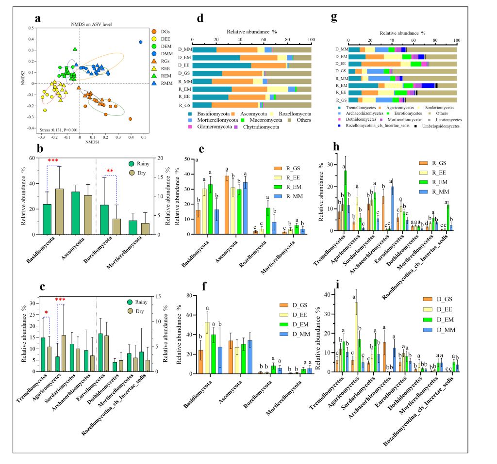 速生树木所在桉树采伐迹地土壤养分与微生物协同修复研究中取得新进展