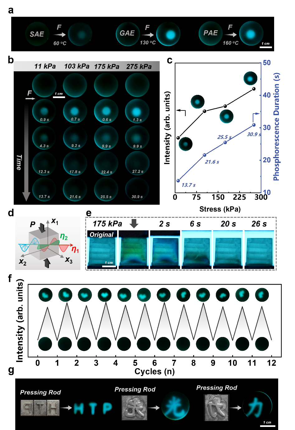 西安交大与中科大研究团队 在橡胶态交联聚合物网络的敏感机械压缩图案化磷光领域取得突破性进展