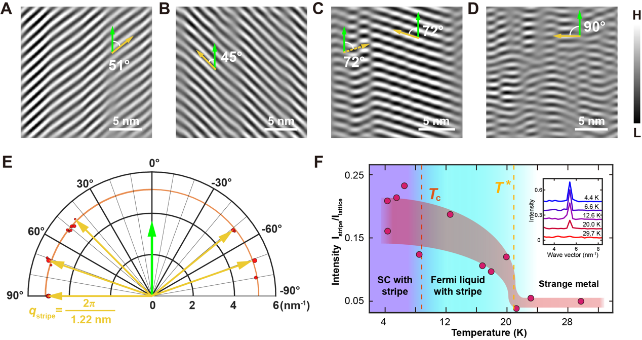 清华大学物理系李渭团队合作在2M-WS₂电荷密度波研究方面取得新进展