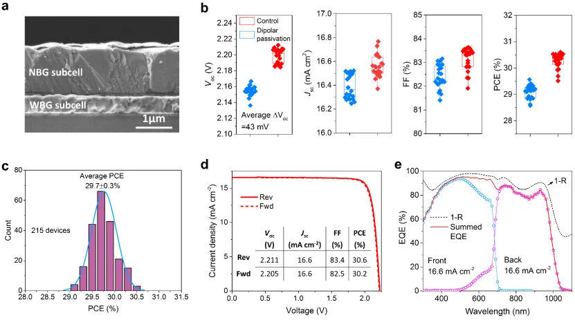 南京大学连续打破世界纪录！南大团队在全钙钛矿叠层电池领域获重大进展再登Nature