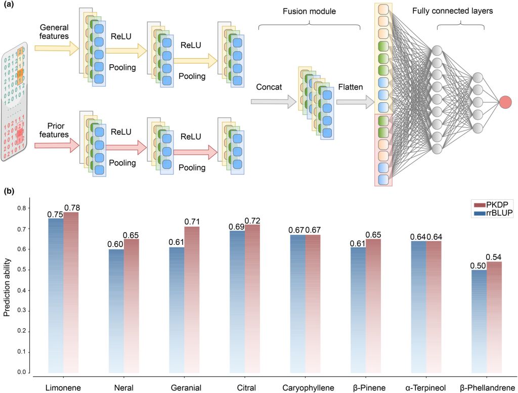 亚林所科研团队在山苍子全基因组选择育种中取得新进展