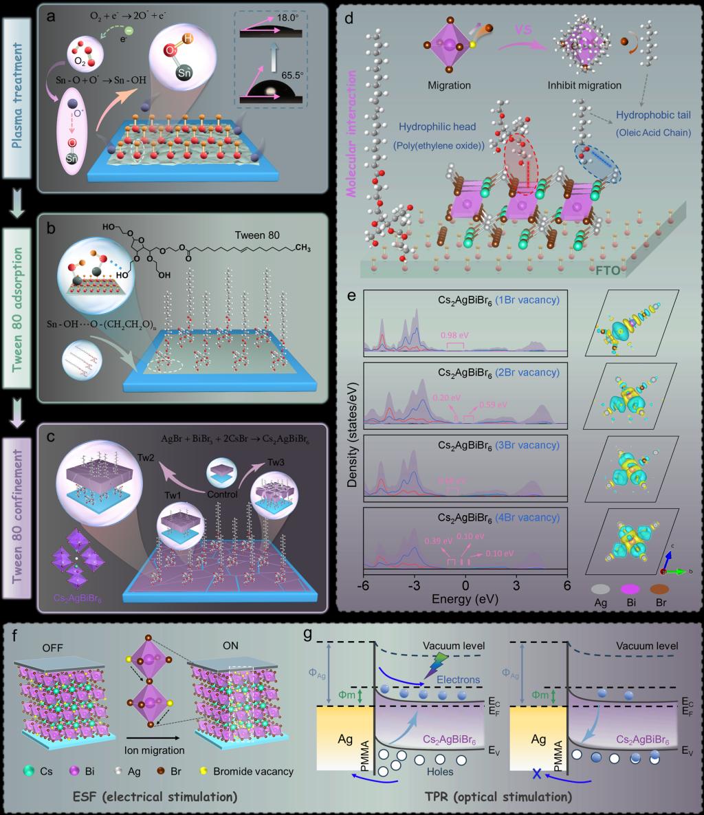 前沿院邵金友、孙柏教授团队在钙钛矿基光电忆阻器领域取得重要进展