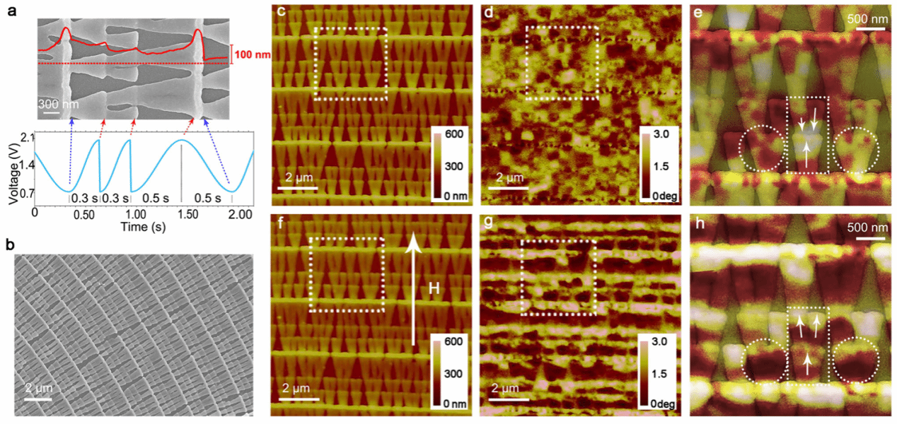 南京大学物理学院王牧和彭茹雯研究团队实现宏观尺寸的可用于神经网络计算的纳米磁性网络
