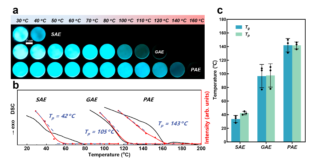 西安交大与中科大研究团队 在橡胶态交联聚合物网络的敏感机械压缩图案化磷光领域取得突破性进展