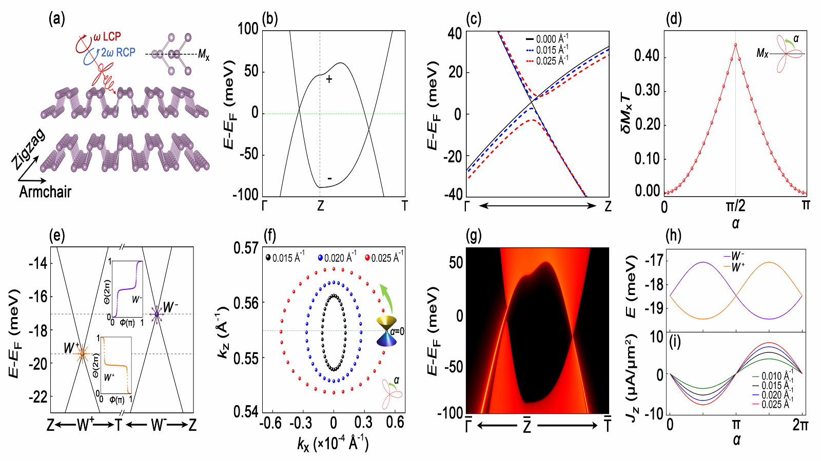 重庆大学重庆大学王锐教授与许东辉教授团队在光调控拓扑物态研究方面取得重要进展