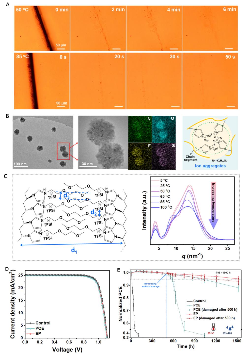 【科学自立自强】西安交大前沿院鲁广昊教授课题组在光伏器件封装领域取得重要进展