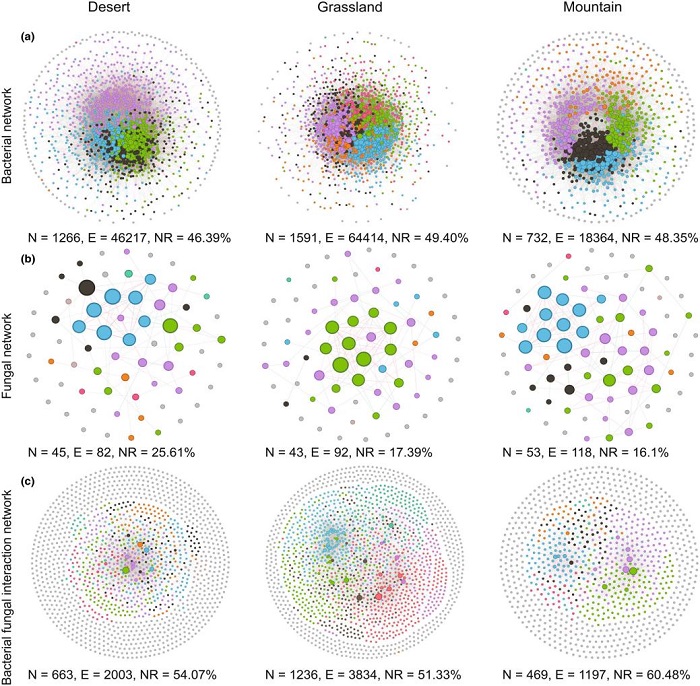 林业所在温带灌丛土壤微生物群落生活史策略研究方面取得新进展