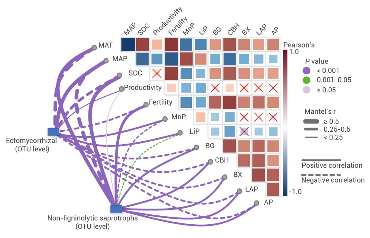 西安交大科研人员在高寒生态系统碳动态研究中取得重要进展