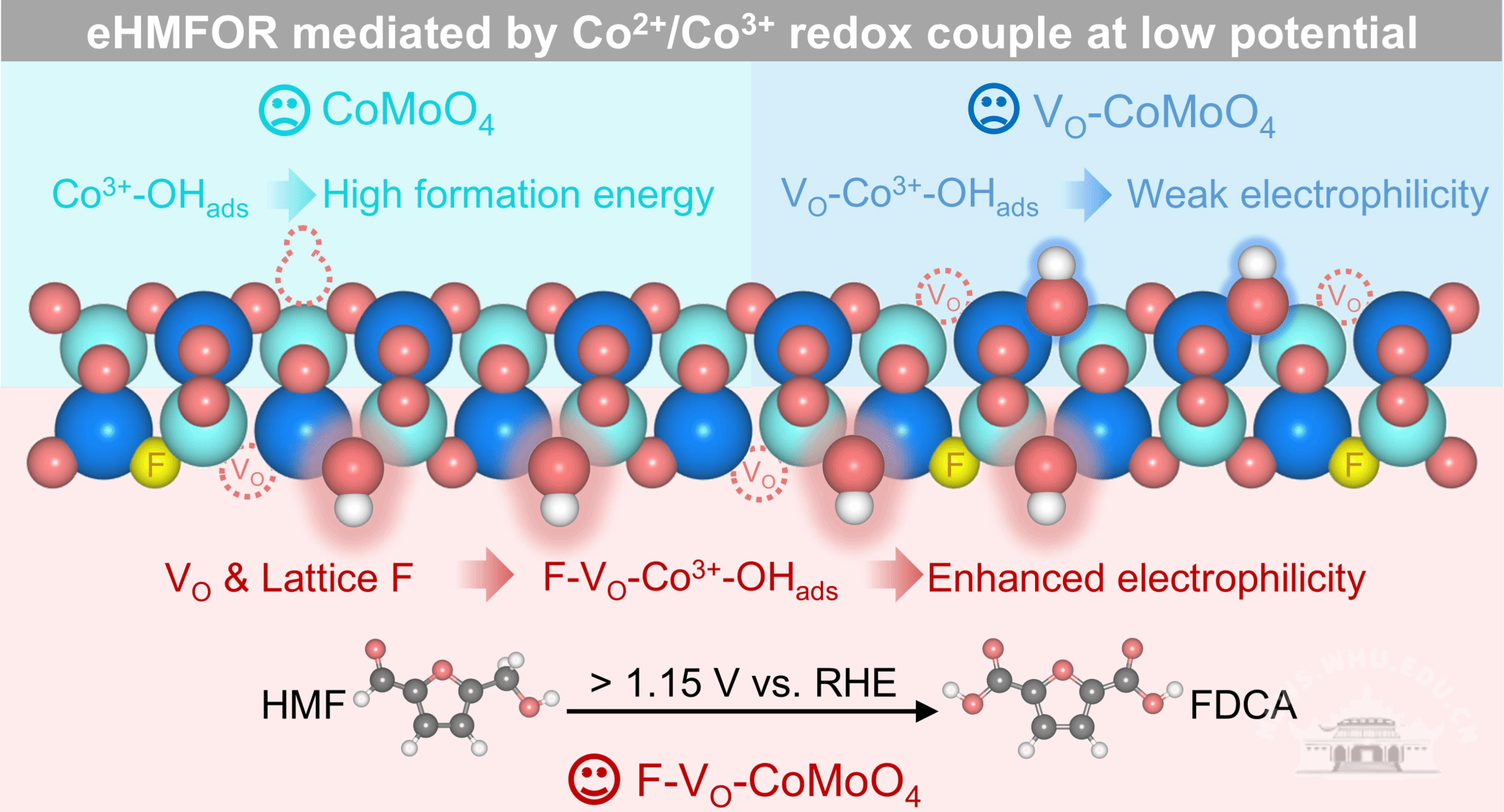 武汉大学武大团队在生物质电催化转化领域取得新进展