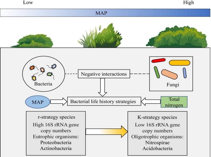 林业所在温带灌丛土壤微生物群落生活史策略研究方面取得新进展