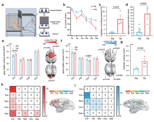 研究构建中国猕猴表型遗传资源平台