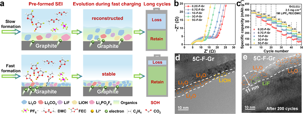 研究发现电场调控的负极界面相可提高锂电池快充性能