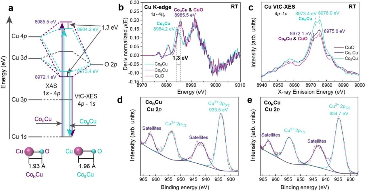 研究揭示键能对催化活性的影响