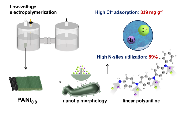 有机电化学离子提取研究获进展