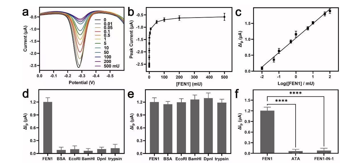 蛋白质均相电化学传感研究取得进展