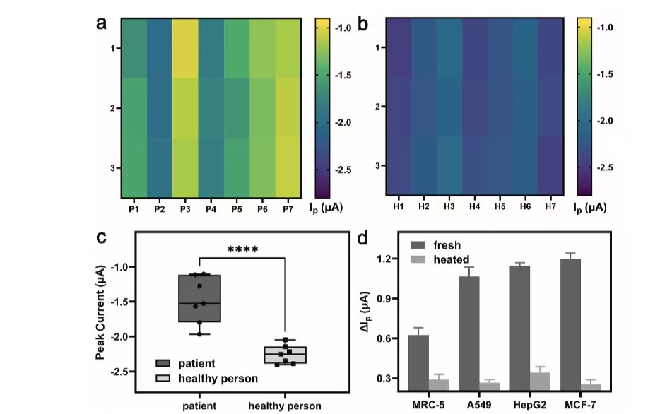 蛋白质均相电化学传感研究取得进展