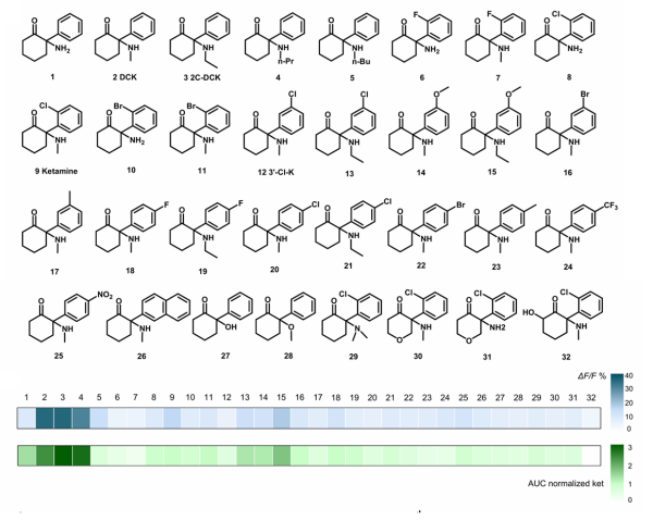 快速抗抑郁药物开发方面取得进展