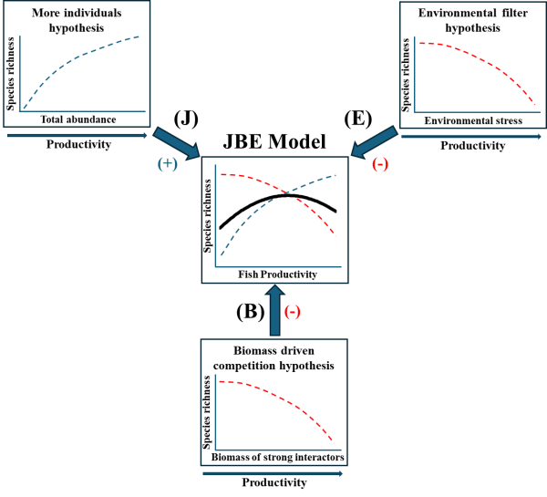 新模型揭示“鱼类生产力—物种丰富度”关系底层规律