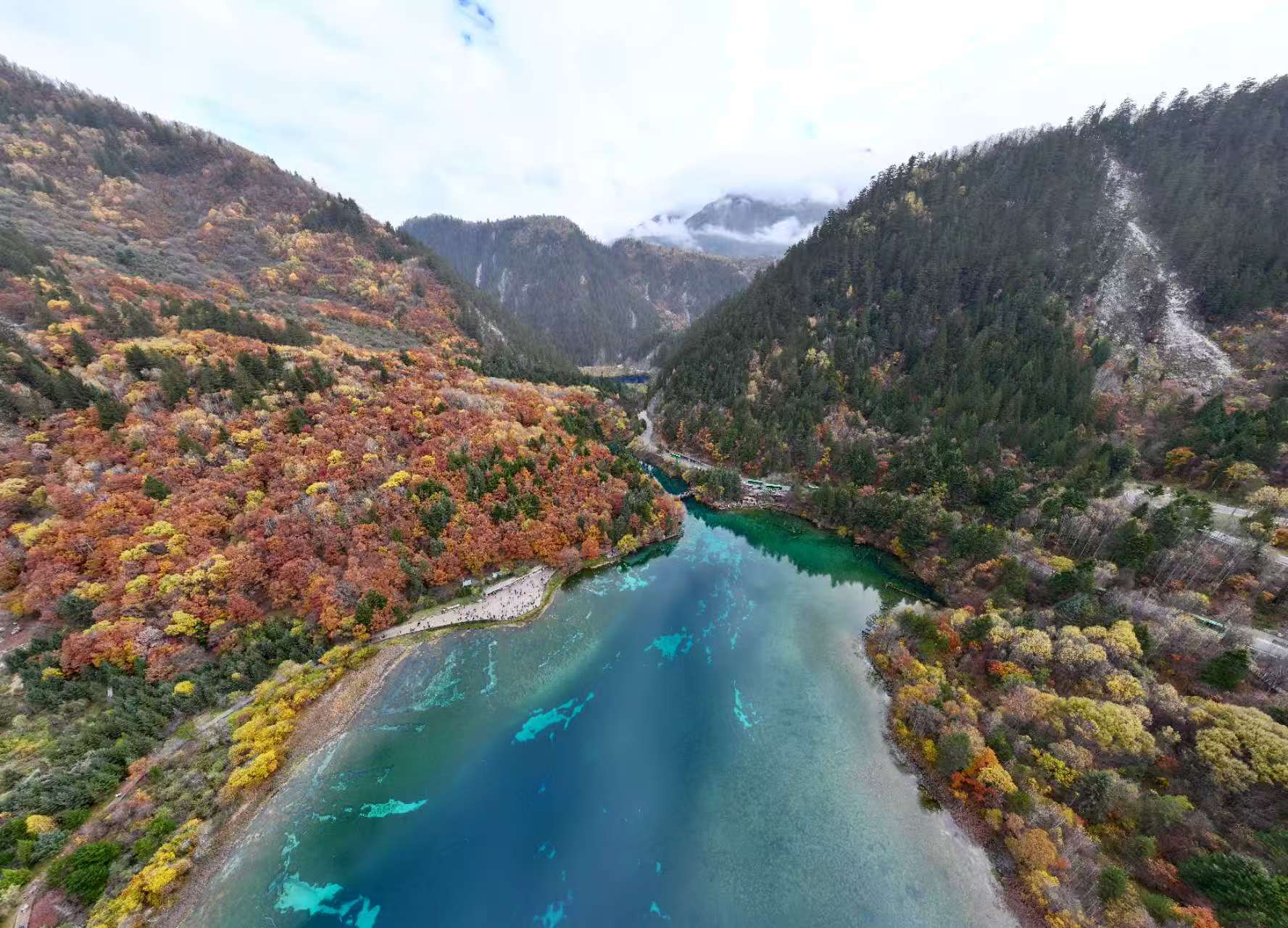 “天—空—地”监测显示九寨沟遗产地生态恢复成效显著
