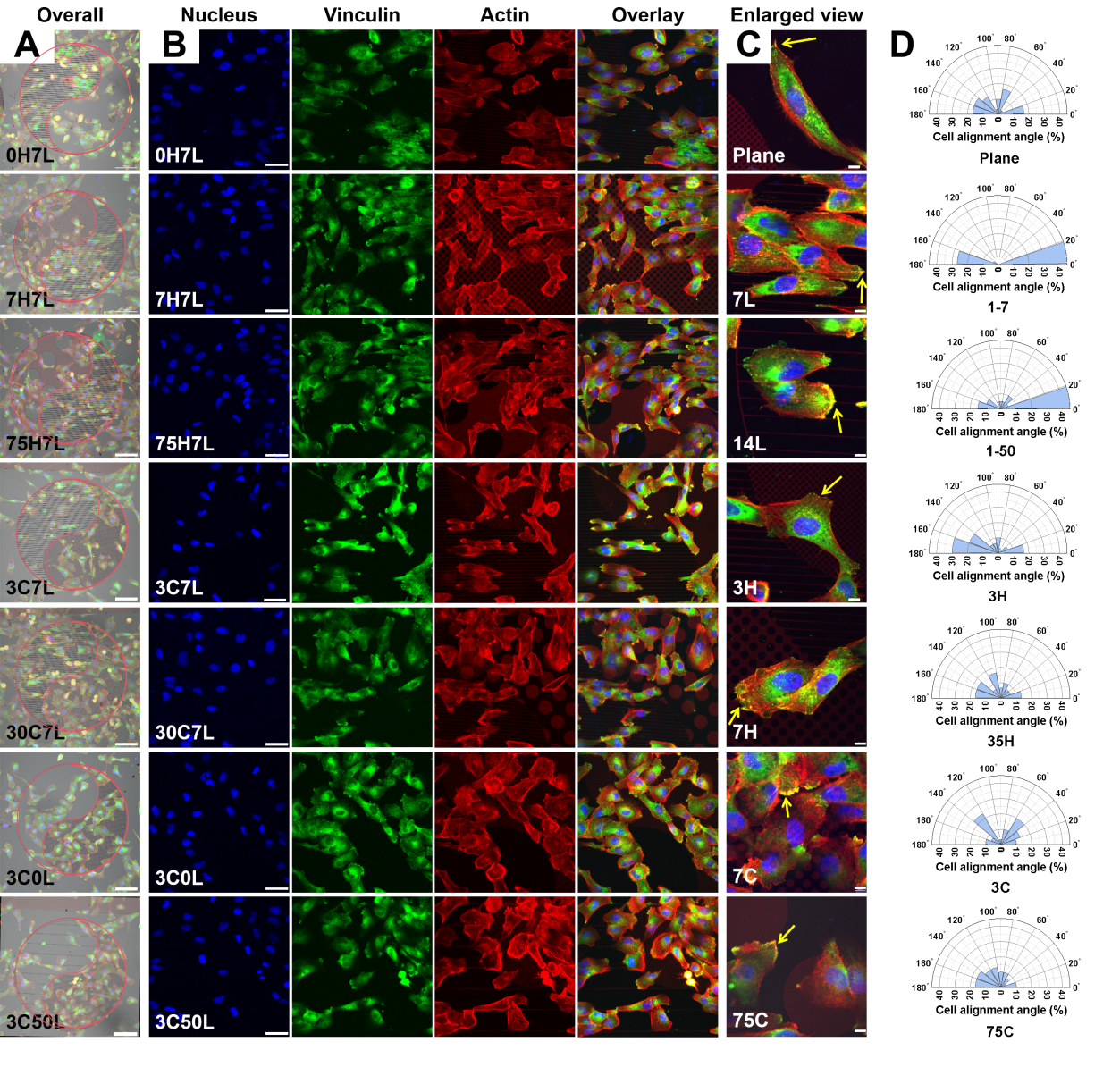 可编程细胞芯片设计制备与浸润性调控取得进展
