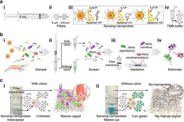 研究构建水产养殖弧菌“筛—鉴—灭”一体化平台