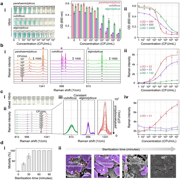 研究构建水产养殖弧菌“筛—鉴—灭”一体化平台