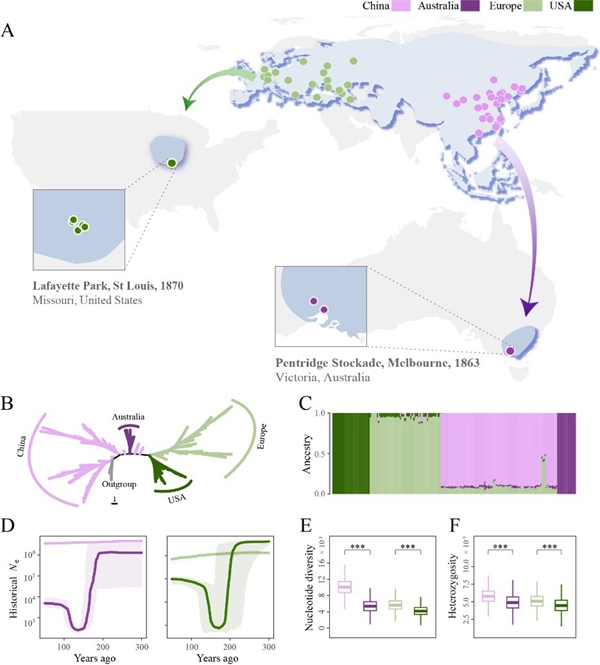 研究揭示平衡选择维系气候“预适应”储备机制