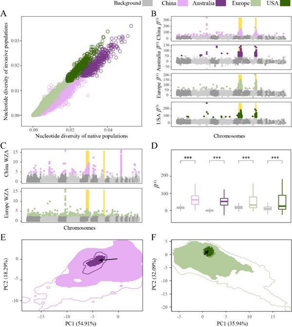 研究揭示平衡选择维系气候“预适应”储备机制