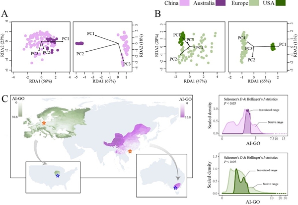 研究揭示平衡选择维系气候“预适应”储备机制