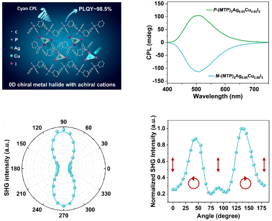 金属卤化物发光动力学研究取得进展