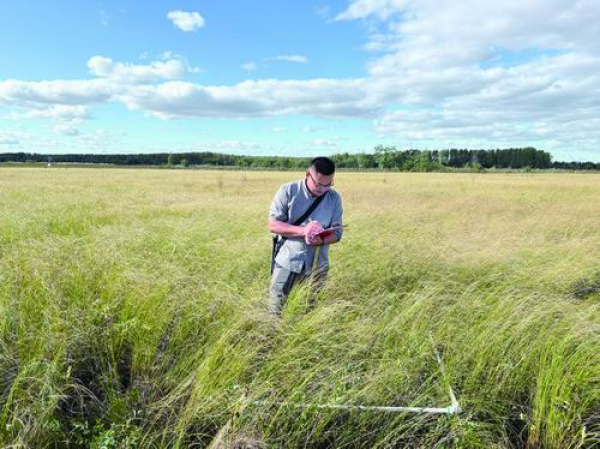 “稳稳的幸福”：和沼泽打交道的13年