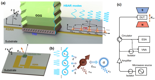 研究利用磁力系统实现宽带磁声混合频率梳