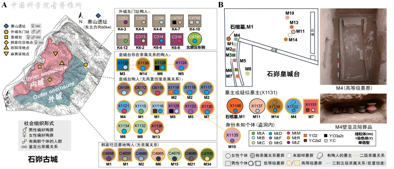古DNA揭示石峁古城人群的遗传来源与社会结构