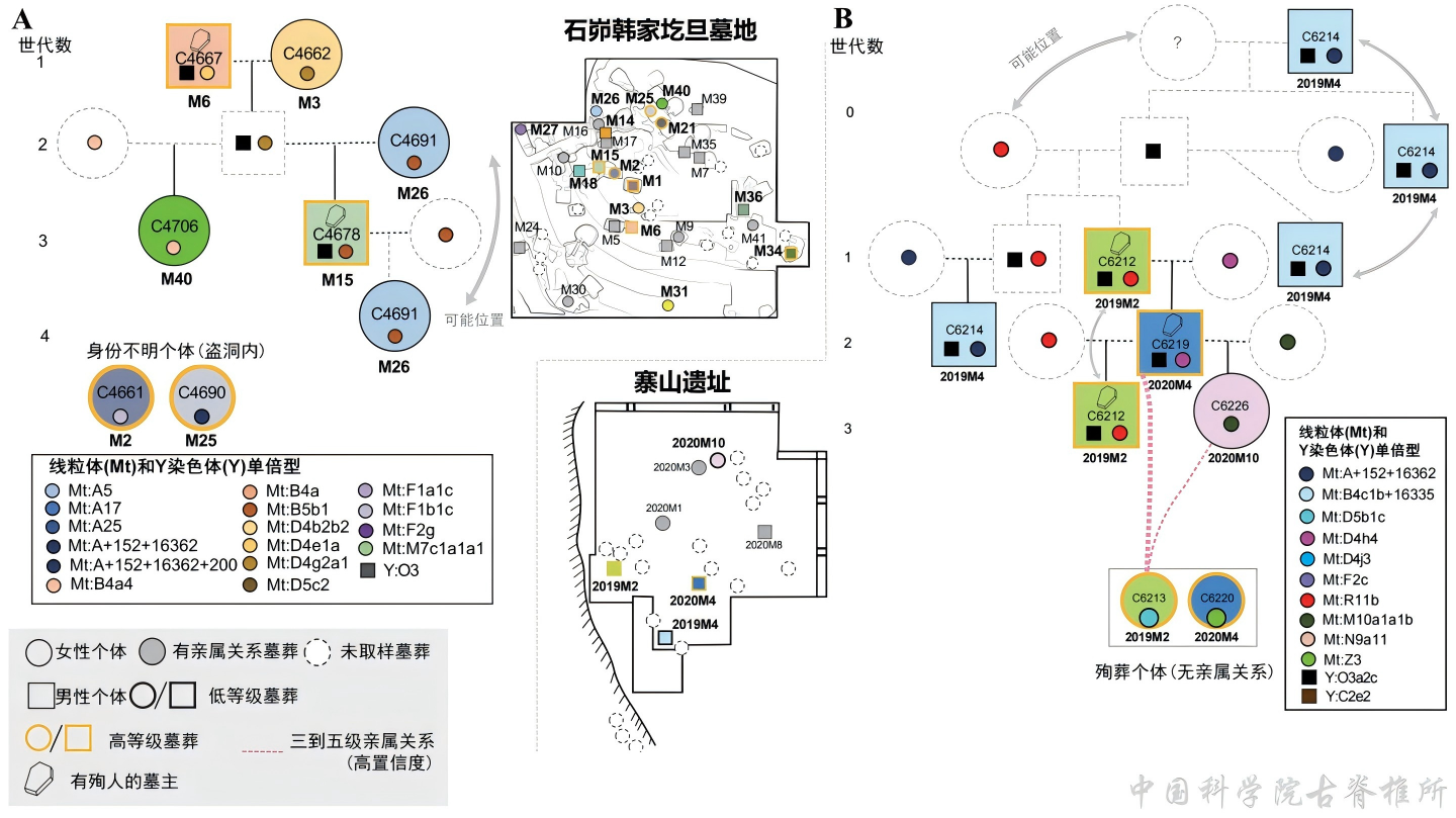 古DNA揭示石峁古城人群的遗传来源与社会结构