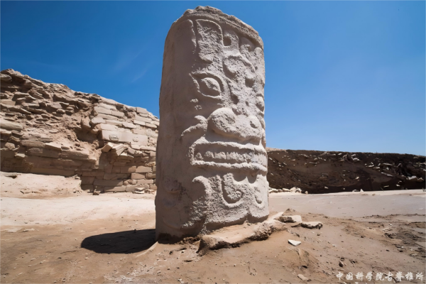 古DNA揭示石峁古城人群的遗传来源与社会结构