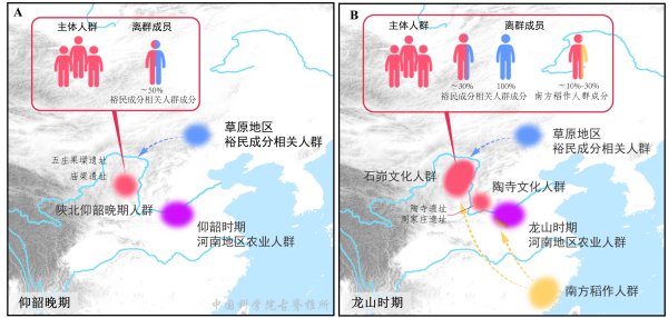 古DNA揭示石峁古城人群的遗传来源与社会结构