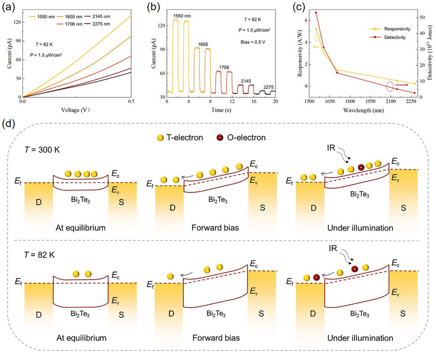 哈工大王金忠教授团队为提升二维单晶材料的硅基兼容性提供新思路