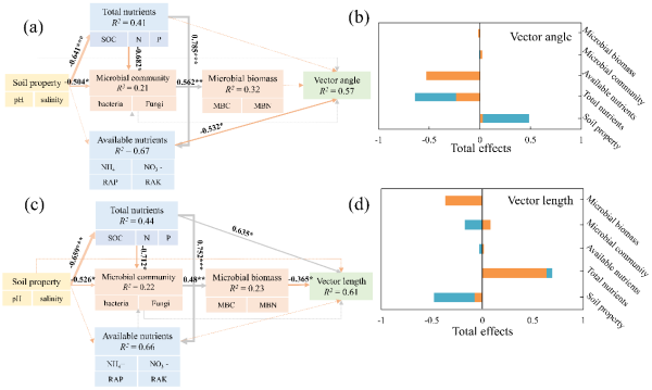 研究提出热带珊瑚岛植被恢复优化模式