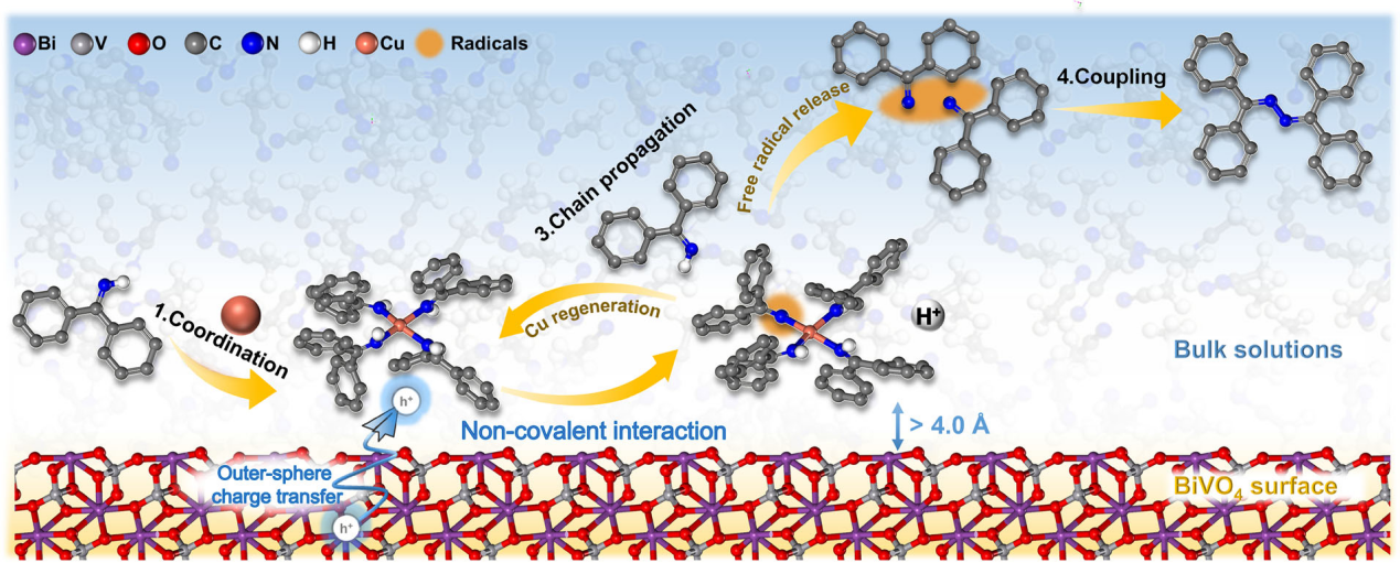 研究提出高选择性光电催化N-N偶联新机制