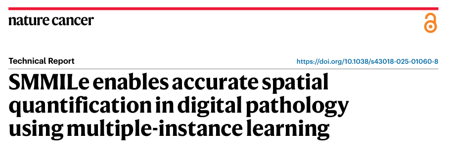 西安交大与剑桥大学联合发明全球首个 可实现大规模肿瘤筛查及细粒度量化诊断的人工智能病理模型