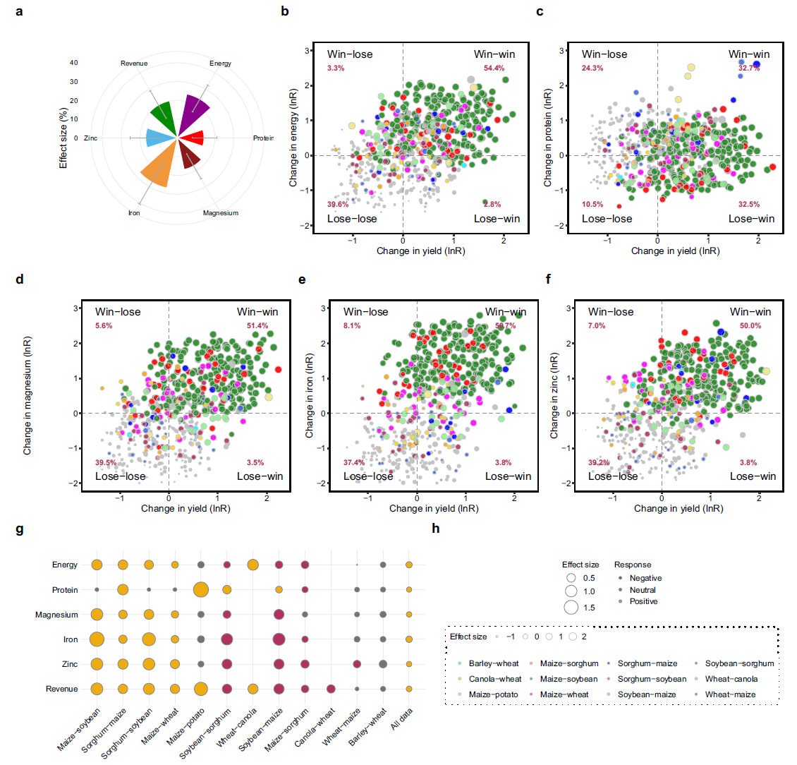 中国农业大学｜张福锁院士团队丛汶峰教授课题组揭示作物轮作协同“产量-营养-收益”三赢新路径 推动农业绿色可持续发展